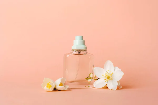 stock image Perfume glass bottle and white jasmine flowers on peachy background. Closeup.