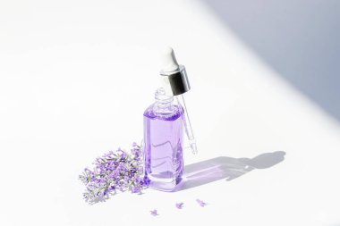 Gün ışığında lavanta kozmetik serumu şişesi. Doğal kozmetik, aromaterapi konsepti. Yakın çekim..