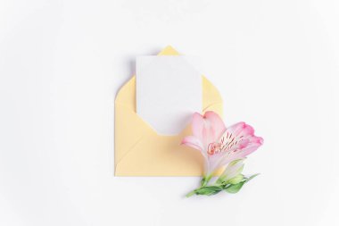 Beyaz arka planda sarı kart ve pembe alstroemeria çiçeği olan bir zarf. Doğum günü, Sevgililer Günü, Anneler Günü, Kadınlar Günü konsepti. Üst görünüm, düz görünüm, maket.