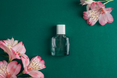 Parfüm şişesi ve koyu yeşil arka planda pembe alstromerya çiçekleri. Üst manzara, düz uzanma.