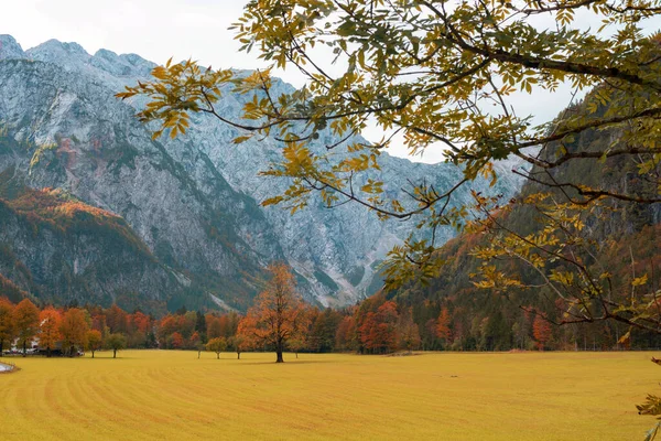 秋天斯洛文尼亚阿尔卑斯山中的洛加尔河谷或洛加尔斯卡洋娃娃 — 图库照片