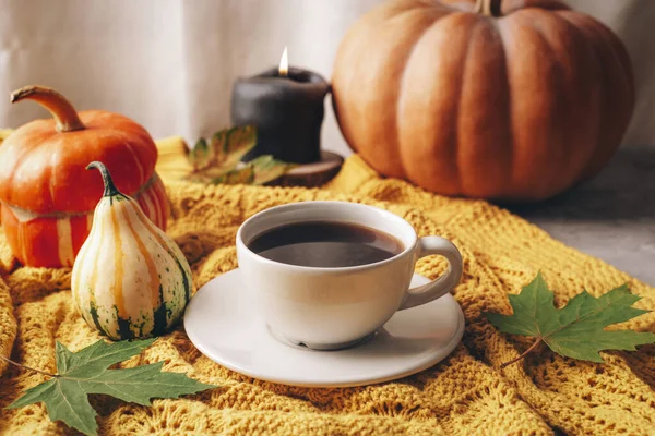 Orange pumpkins, coffee cup and candle on yellow sweater. Autumn still life, Halloween or Thanksgiving concept.