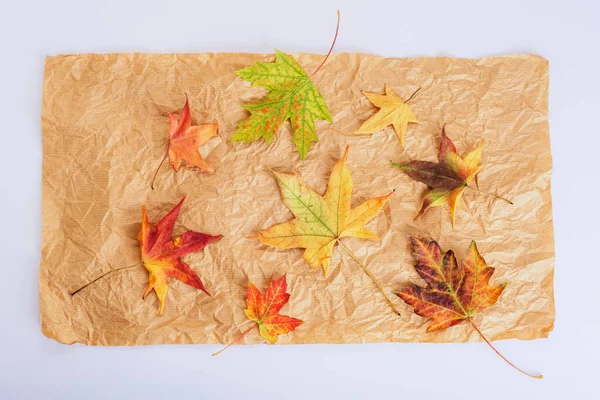 Colourful autumn leaves on craft paper, white background. Autumn concept. Top view, flat lay.