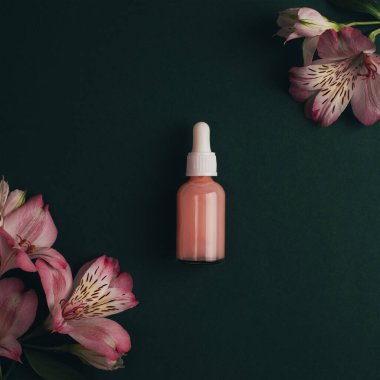 Kozmetik serumu şişesi ve koyu yeşil arka planda Alstroemeria pembe çiçekleri. Üst manzara, düz uzanma.