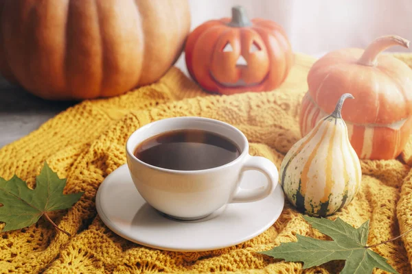 Pumpkins, coffee cup and Halloween decorations on yellow sweater. Autumn still life, Thanksgiving concept. Closeup.