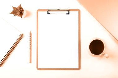 Dosyası, kahvesi, kalemi, defteri ve sulu bitkisi olan bir masa. Düz yatış, üst manzara, maket. 2024 yılının rengi - şeftali tüyü.