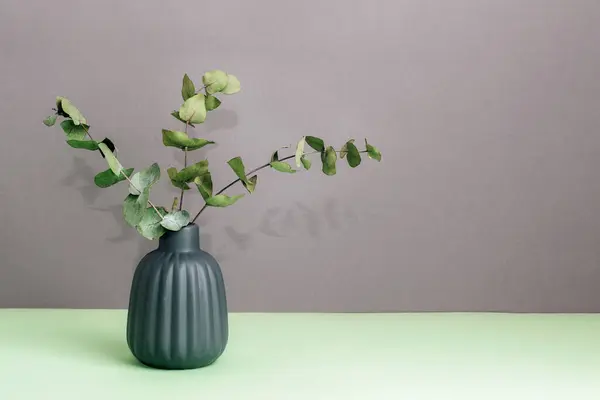 Eucalyptus branches in vase on green table against gray wall background. Home decor concept. Copy space.