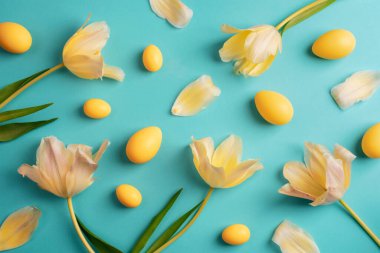 Sarı Paskalya yumurtaları ve mavi arka planda lale çiçekleri. Paskalya konsepti. Üst görünüm.