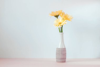 Beyaz duvara karşı vazoda sarı papatya çiçekleri. Boşluğu kopyala.