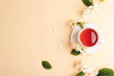 Bir fincan çay ve bej arka planda yasemin çiçekleri. Üst görünüm, düz görünüm, kopyalama alanı.