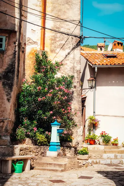 Hırvatistan 'ın eski Moscenice kentinde iyi içiliyor.