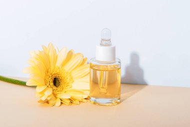 Kozmetik serum şişesi ve sert gölgeli bir masada sarı gerbera çiçeği. Doğal cilt bakımı, yakın plan..