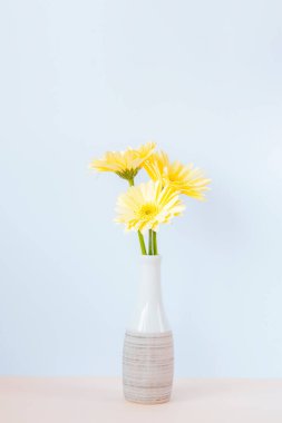 Beyaz duvara karşı vazoda sarı papatya çiçekleri.