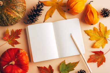 Kalem, sonbahar yaprakları ve balkabaklarıyla boş bir not defteri. Şükran Günü konsepti Üst görünüm, düz görünüm, model.