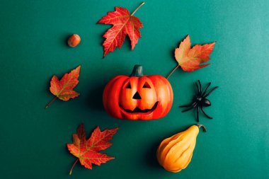 Cadılar Bayramı balkabağı Jack O Lantern, örümcek ve sonbahar yaprakları koyu yeşil arka planda. Üst görünüm, düz görünüm, kopyalama alanı.