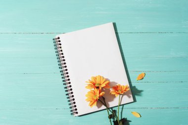 Boş not defteri ve turkuaz mavi ahşap masa üzerinde sarı çiçekler, ışık ve gölgeler. Üst görünüm, düz görünüm, model.