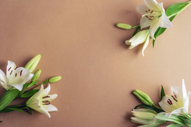 Bej arka planda yeşil yapraklı beyaz zambaklar saflığı ve zarafeti sembolize ediyor. Üst görünüm, düz görünüm, kopyalama alanı.