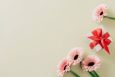 Kırmızı kurdeleli hediye kutusu ve soluk arkaplanda pembe Gerbera çiçekleri. Üst görünüm, düz görünüm, kopyalama alanı.