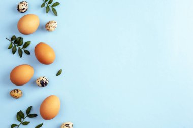Mavi arka planda yeşil yapraklı kahverengi ve bıldırcın yumurtaları. Paskalya konsepti. Üst görünüm, düz görünüm, kopyalama alanı.