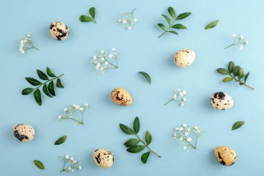 Yeşil yapraklı benekli bıldırcın yumurtaları ve mavi pastel arka planda beyaz çiçekler. Paskalya konsepti. Üst manzara, düz uzanma.