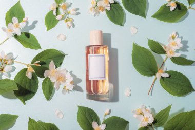 Yasemin çiçeklerinin arasına yerleştirilmiş parfüm şişesi ve pastel mavi bir yüzeyde yeşil yapraklar. Koku promosyonu ve kozmetik markalaşma için uygun nazik bir çiçek düzeni. Üst görünüm, düz görünüm, model.