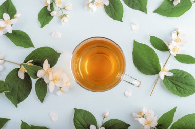 Cam bardakta yasemin çayı ve açık mavi arka planda yeşil yapraklı çiçekler. Üst manzara, düz uzanma.