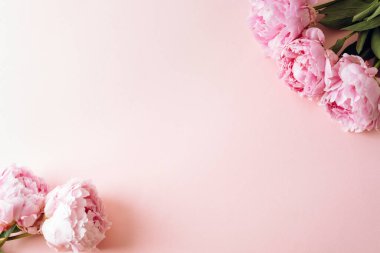 Pastel pembe arka planda düzenlenmiş pembe şakayık çiçekleri ve fotokopi alanı. Üst manzara, düz uzanma.