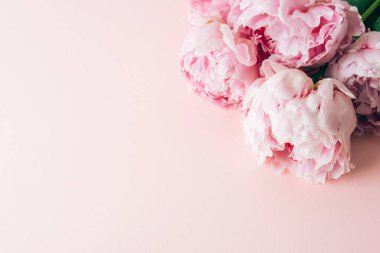 Pastel pembe arka planda fotokopi alanı olan pembe şakayık çiçekleri. Üst manzara, düz uzanma.