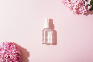 Güneş ışığında pembe arka planda ortanca çiçekleri olan kozmetik serum düşürücü şişesi. Üst manzara, düz uzanma.