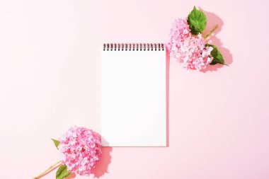 Pastel arka planda pembe ortanca çiçekleri olan boş bir not defteri. Üst görünüm, düz görünüm, model.