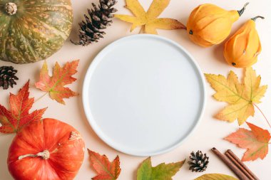 Balkabaklı sonbahar kompozisyonu, renkli akçaağaç yaprakları, kozalaklar ve bej arka planda boş yuvarlak tabak. Üst görünüm, düz görünüm, model.