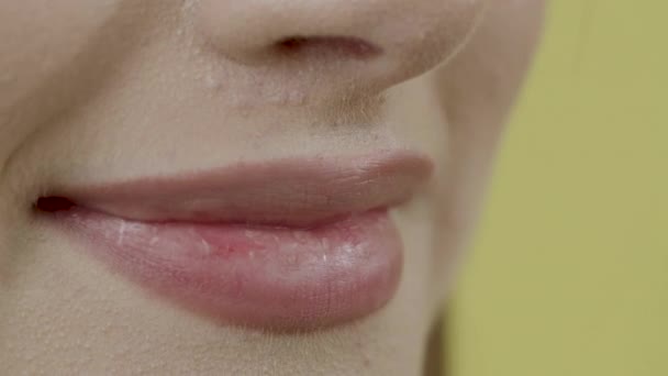 여성의 치아를 이하라 피부와 입술을 이한다 관리에 — 비디오