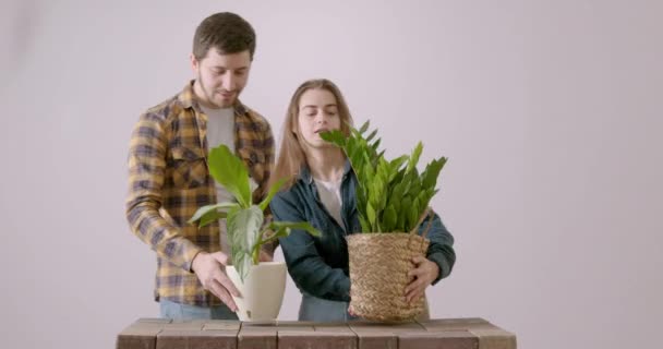Genç Bir Aile Için Çiçek Alışverişi Yapıyor Yeşil Çiçek Alıp — Stok video