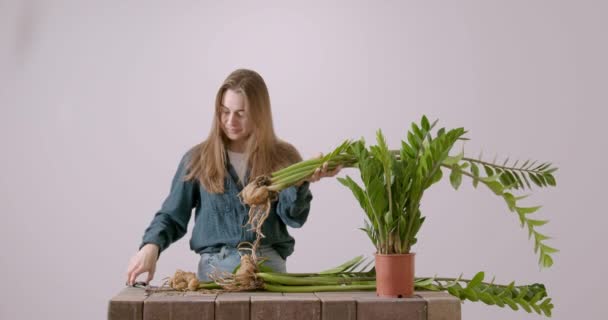 Jovem Mulher Limpando Batatas Raízes Uma Flor Casa Com Mãos — Vídeo de Stock