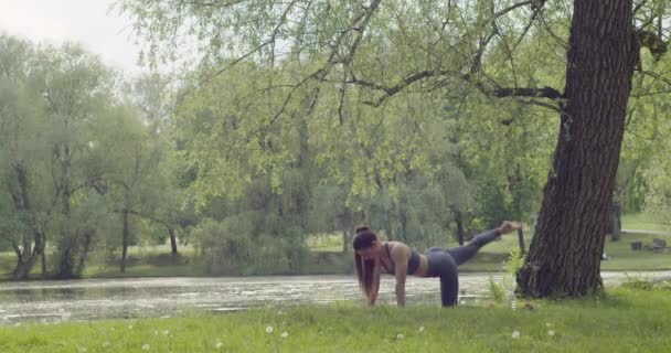 Mooie Slanke Meisje Doen Yoga Natuur — Stockvideo