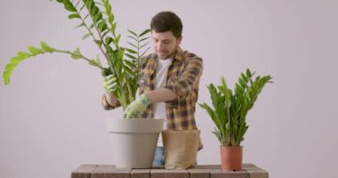 Çiçekçi olgun bir çiçeği yeniden dikiyor. Çiçek hobisi olan bir kampçı, bitkiye uygun bir büyüme için özel toprak ekler. Adam eldiven yardımıyla toprağı seramik kaba koyar..