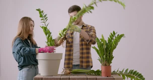 Två Unga Blomsterhandlare Placera Försiktigt Stor Blomma Som Ska Återplanteras — Stockvideo