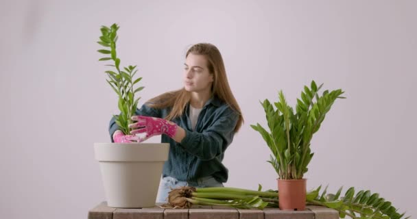 Dona Casa Que Cuida Das Flores Domésticas Enriquece Terra Horticultura — Vídeo de Stock
