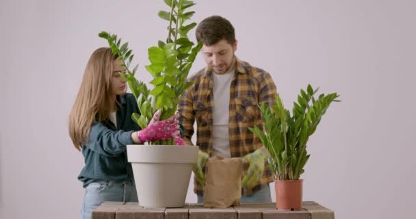 Two Flower Shop Workers Show How Properly Replant Already Mature — Stock Video