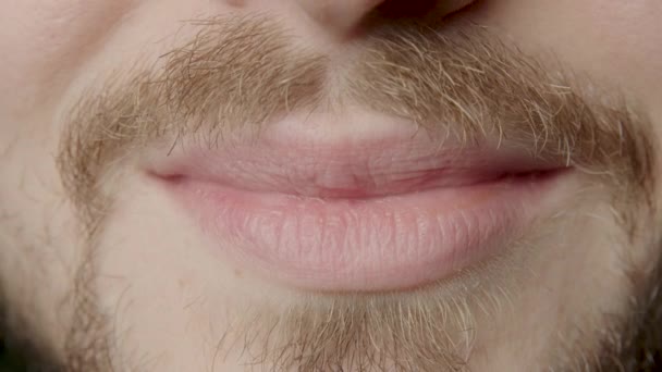 Close Smile Bearded Man Mustache Healthy Teeth Healthy Natural Teeth — Stok video