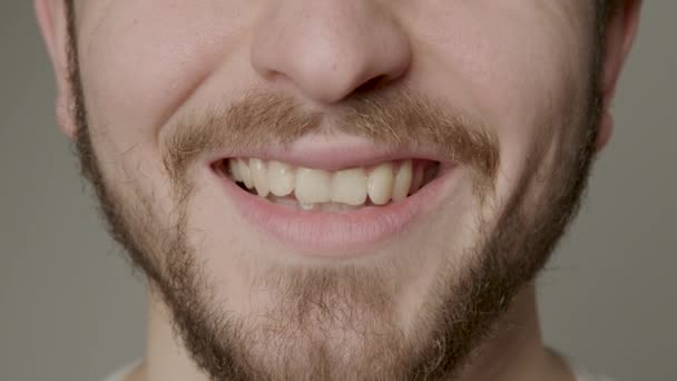 Beautiful Natural Smile Close Bearded Man Young Happy Man Smiling — Vídeo de Stock