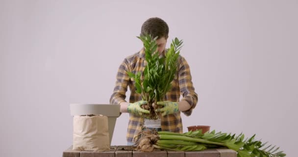 Brunette Man Met Baard Bij Het Herplanten Van Huisbloemen Jongeman — Stockvideo