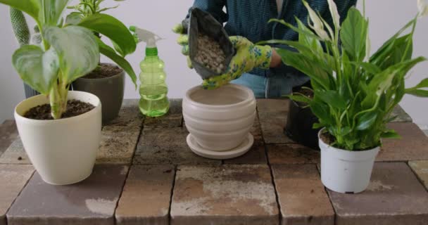 Close Image Flowering Brick Table Replanting Flowers Woman Transplants Plants — Vídeo de Stock