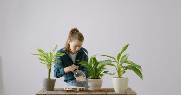 Jovem Dona Casa Enquanto Verte Água Para Flores Interiores Partir — Vídeo de Stock