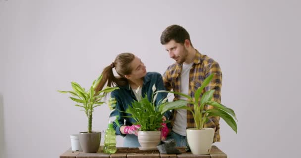 Deux Jeunes Joyeux Amoureux Replantent Des Fleurs Intérieur Une Famille — Video