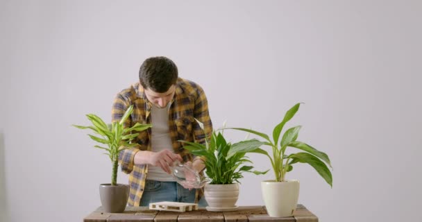 雄花匠从透明的容器向室内花朵浇水 在白人背景下 热爱植物的人非常小心地照顾它们 室内植物护理的概念 — 图库视频影像