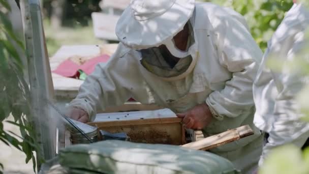 白い保護スーツの養蜂家の顔 彼の側の助手と ハチミツバチを蜂蜜から取り除く 2人のプロの養蜂家がミツバチがいっぱいのハニカムを検査する — ストック動画