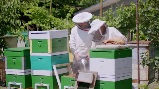 Két Méhész Amatőr Vállalkozásba Kezdett Méhekkel Kertjükben Két Férfi Kolléga — Stock videók