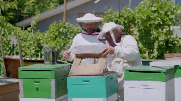两个身穿白色防护服的兄弟一起把蜂窝中的蜂窝从蜂窝中取出来提取蜂蜜 卖给热爱蜂蜜的消费者 小企业概念 — 图库视频影像