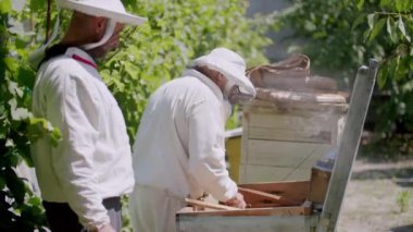 Her ikisinin de arılara karşı bir hobisi olan koruyucu beyaz giysili iki komşu arı kovanları yetiştirdi. İki acemi arı yetiştiricisi arı kovanlarından bal peteklerini çıkardı..